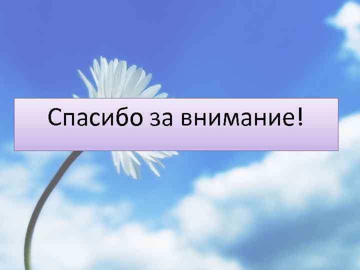 Спасибо за внимание! 