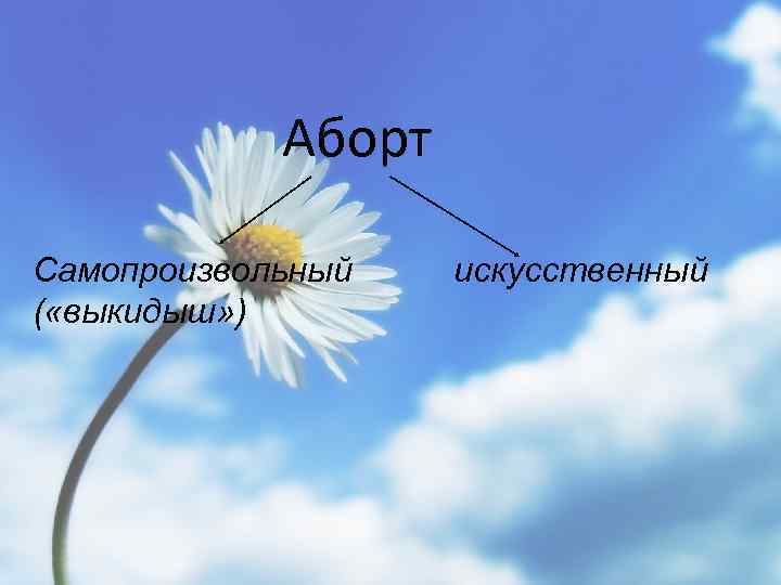 Аборт Самопроизвольный ( «выкидыш» ) искусственный 