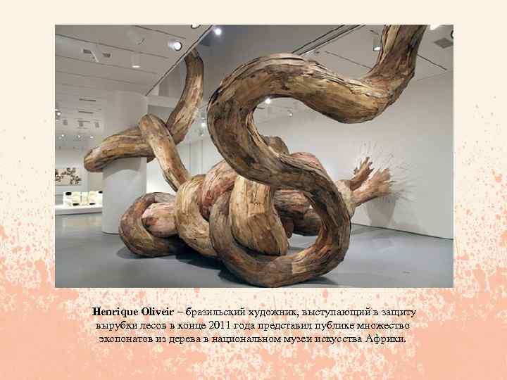  Henrique Oliveir – бразильский художник, выступающий в защиту вырубки лесов в конце 2011