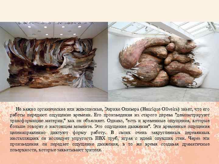  Не важно органические или живописные, Энрике Оливера (Henrique Oliveira) знает, что его работы
