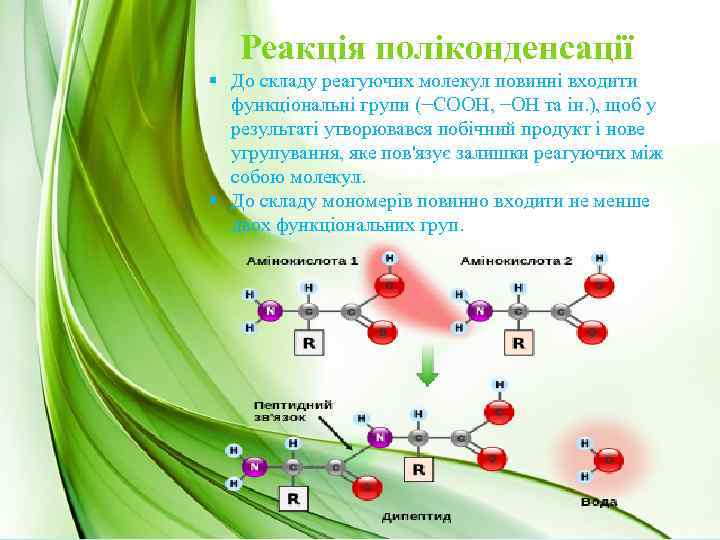 Реакція поліконденсації § До складу реагуючих молекул повинні входити функціональні групи (−СООН, −ОН та