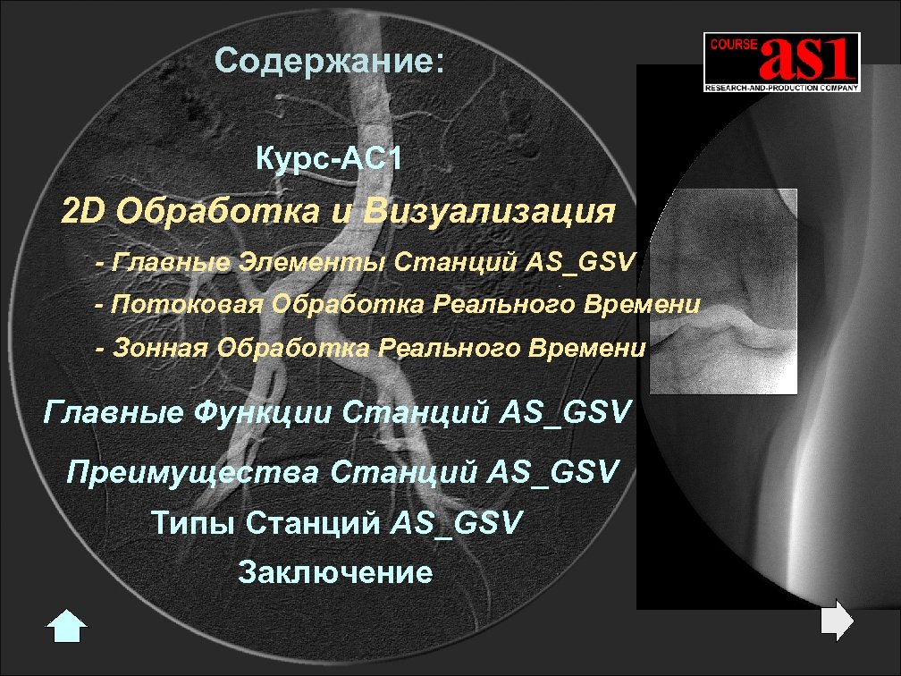 Содержание: Курс-АС 1 2 D Обработка и Визуализация - Главные Элементы Станций AS_GSV -