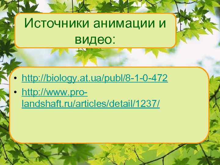 Источники анимации и видео: • http: //biology. at. ua/publ/8 -1 -0 -472 • http: