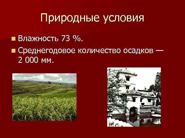 Природные условия n Влажность 73 %. n Среднегодовое количество осадков — 2 000 мм.