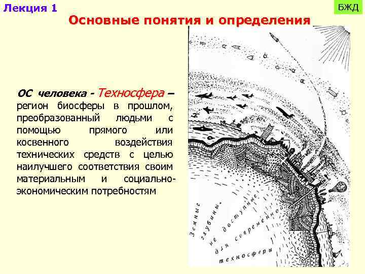 Лекция 1 Основные понятия и определения БЖД ОС человека - Техносфера – регион биосферы
