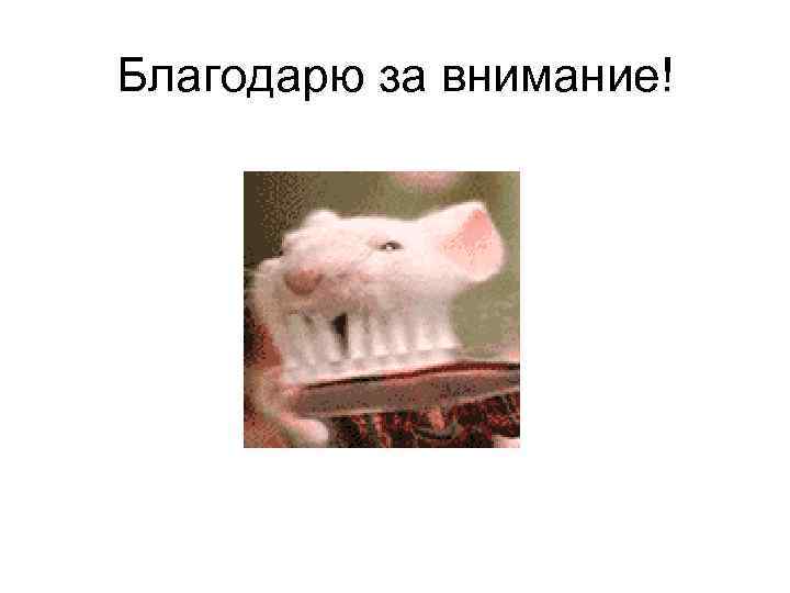 Благодарю за внимание! 
