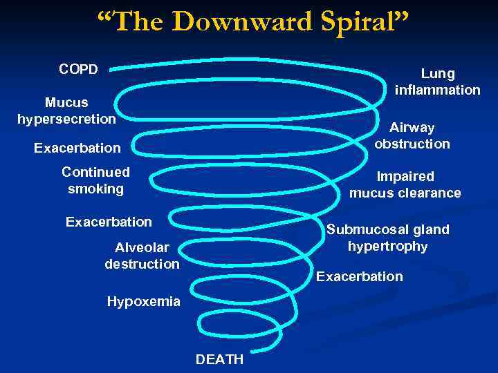 “The Downward Spiral” COPD Lung inflammation Mucus hypersecretion Airway obstruction Exacerbation Continued smoking Impaired