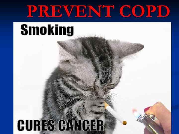 PREVENT COPD 