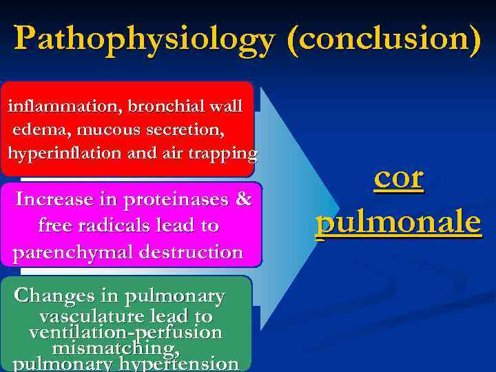 Pathophysiology (conclusion) inflammation, bronchial wall edema, mucous secretion, hyperinflation and air trapping Increase in