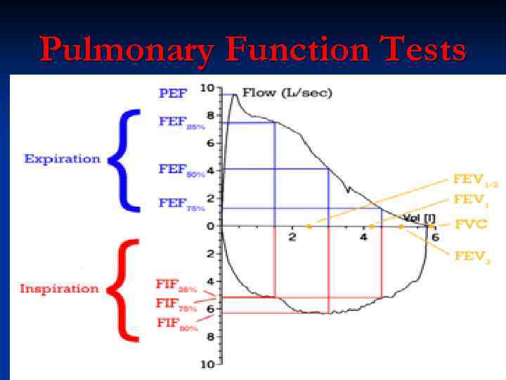 Pulmonary Function Tests 