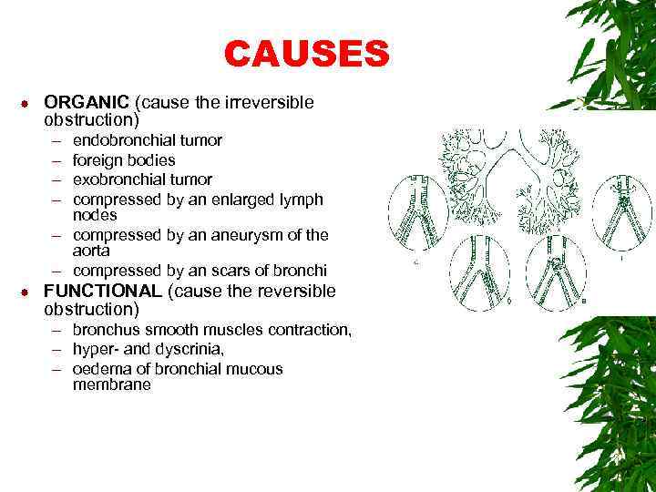 CAUSES ORGANIC (cause the irreversible obstruction) – – endobronchial tumor foreign bodies exobronchial tumor