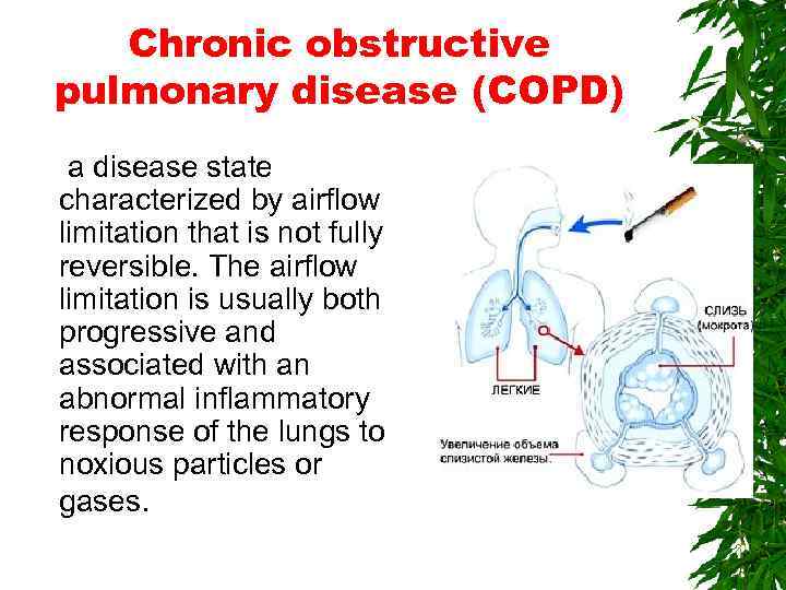 Chronic obstructive pulmonary disease (COPD) a disease state characterized by airflow limitation that is