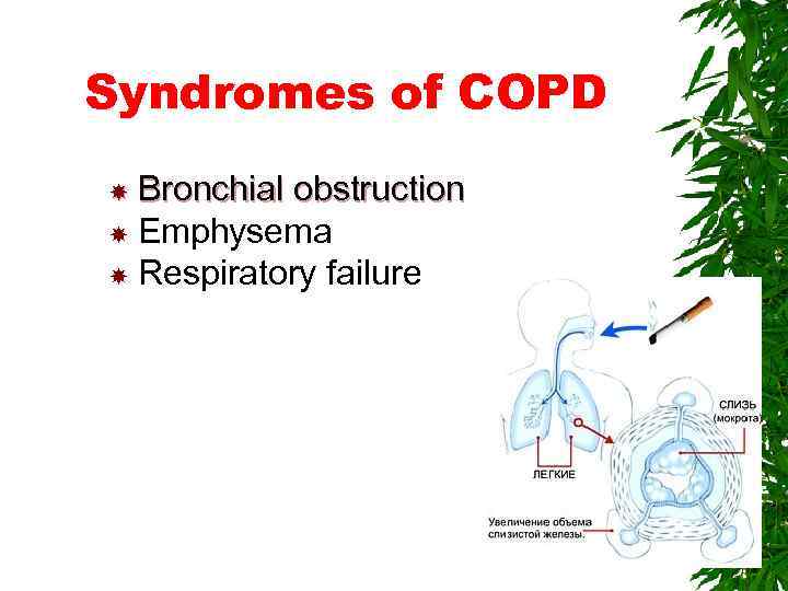 Syndromes of COPD Bronchial obstruction Emphysema Respiratory failure 