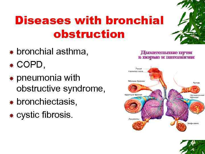 paroxysmal nocturnal dyspnea bronchi