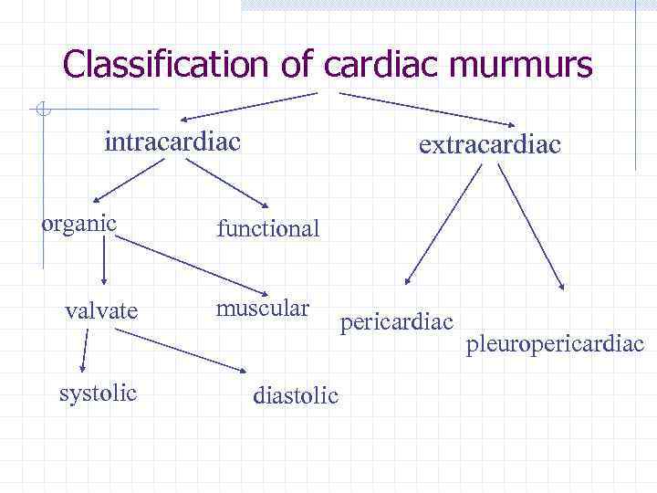 Classification of cardiac murmurs intracardiac organic valvate systolic extracardiac functional muscular diastolic pericardiac pleuropericardiac