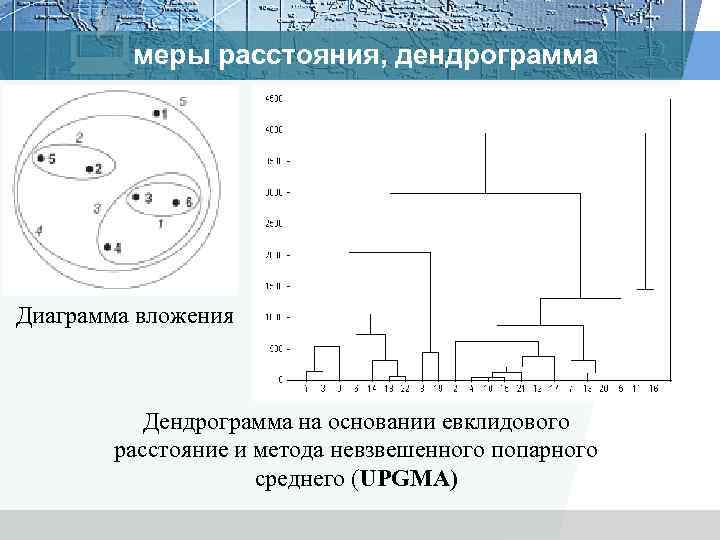 меры расстояния, дендрограмма Диаграмма вложения Дендрограмма на основании евклидового расстояние и метода невзвешенного попарного