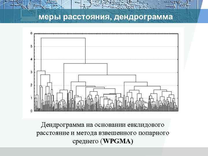 меры расстояния, дендрограмма Дендрограмма на основании евклидового расстояние и метода взвешенного попарного среднего (WPGMA)