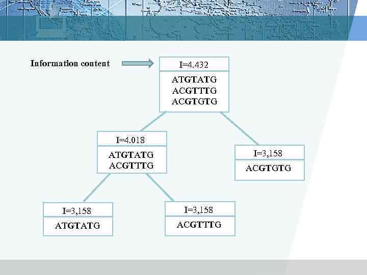 Information content I=4. 432 ATGTATG ACGTTTG ACGTGTG I=4. 018 I=3, 158 ATGTATG ACGTTTG ACGTGTG