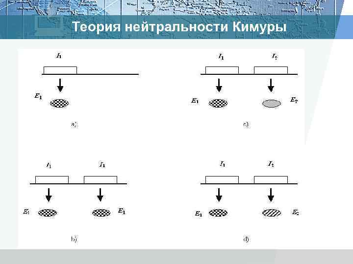 Теория нейтральности Кимуры 