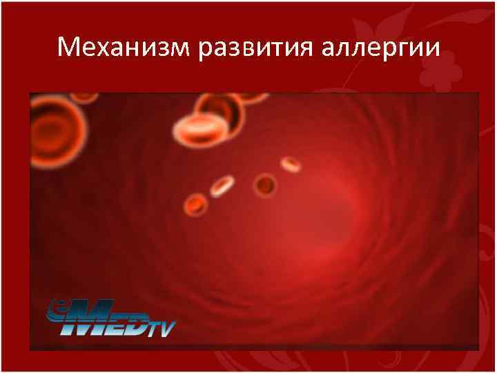 Механизм развития аллергии 
