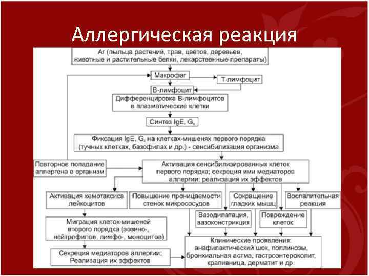 Аллергическая реакция 