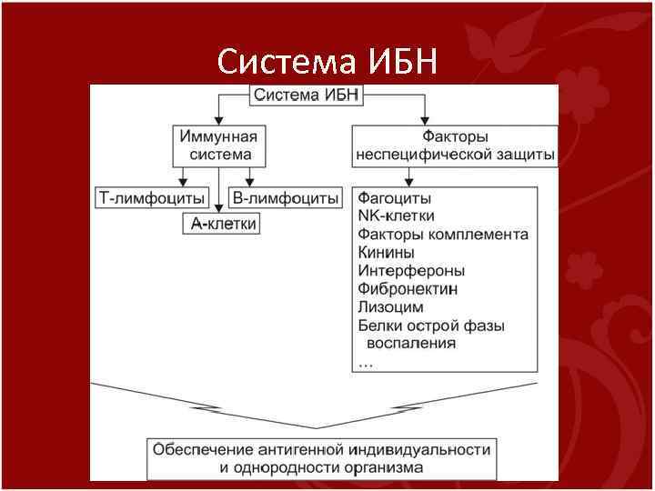 Система ИБН 