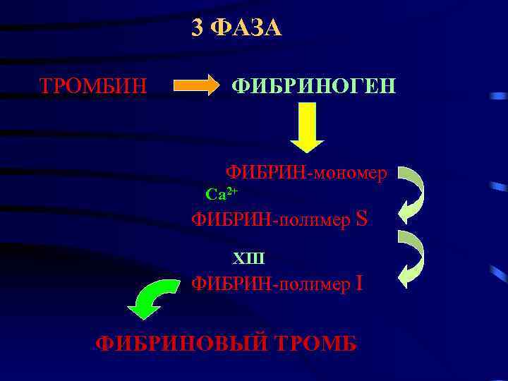 3 ФАЗА ТРОМБИН ФИБРИНОГЕН ФИБРИН-мономер Ca 2+ ФИБРИН-полимер S XIII ФИБРИН-полимер I ФИБРИНОВЫЙ ТРОМБ