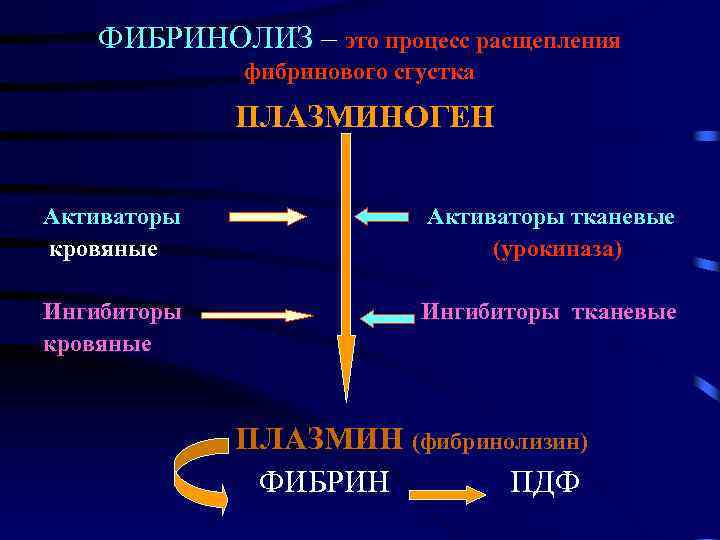 Схема фибринолиза физиология