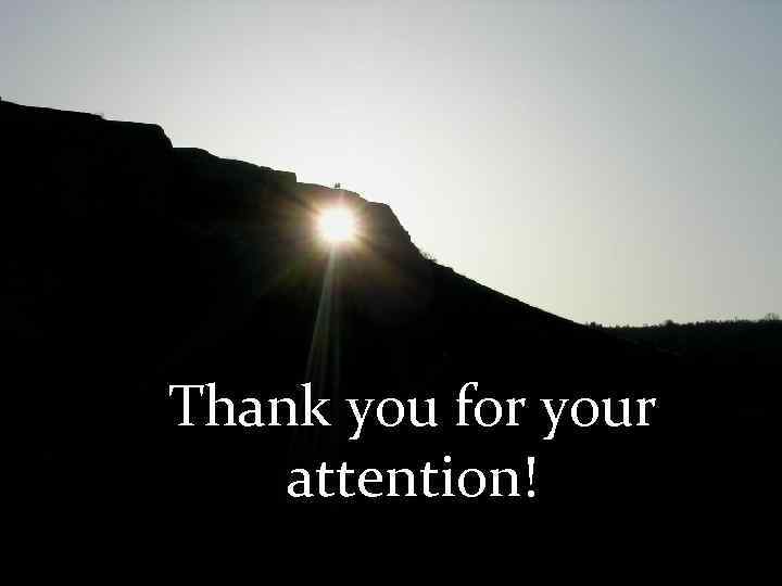 Thank you for your attention! 