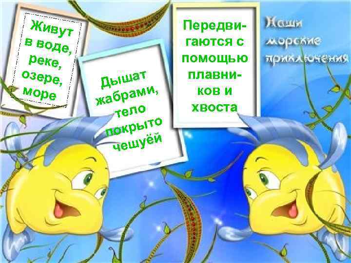 Живут в вод е, реке, озере , море шат Ды ами, жабр тело рыто