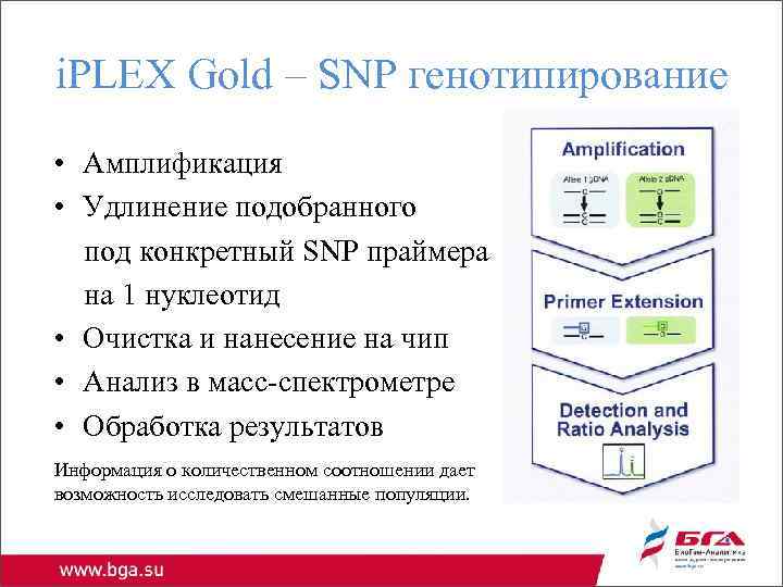 i. PLEX Gold – SNP генотипирование • Амплификация • Удлинение подобранного под конкретный SNP