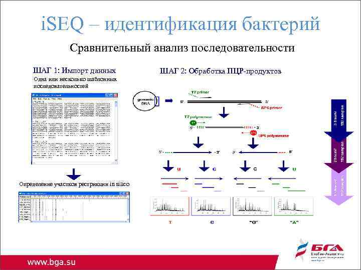 i. SEQ – идентификация бактерий Сравнительный анализ последовательности ШАГ 1: Импорт данных Одна или