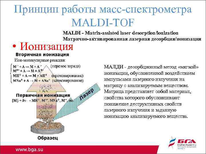 Принцип работы масс-спектрометра MALDI-TOF MALDI - Matrix-assisted laser desorption/ionization Матрично-активированная лазерная десорбция/ионизация • Ионизация