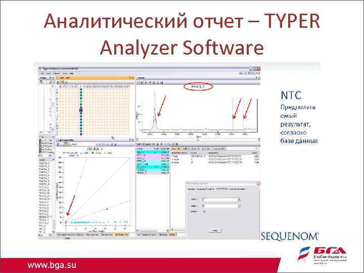 Аналитический отчет – TYPER Analyzer Software 