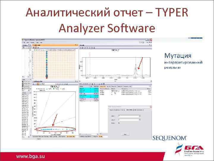 Аналитический отчет – TYPER Analyzer Software 