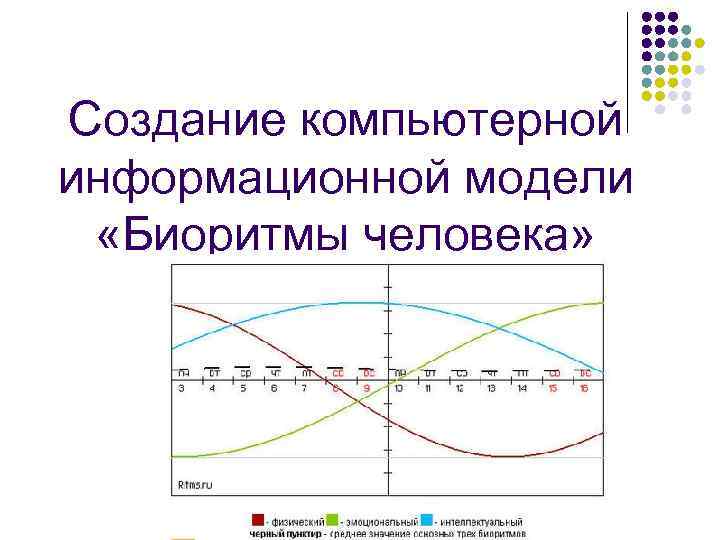 Создание компьютерной информационной модели «Биоритмы человека» 