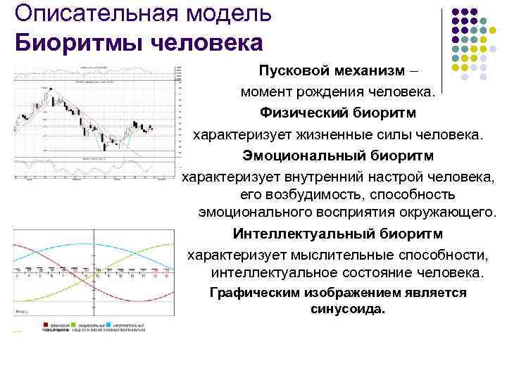 Описательная модель Биоритмы человека Пусковой механизм – момент рождения человека. Физический биоритм характеризует жизненные