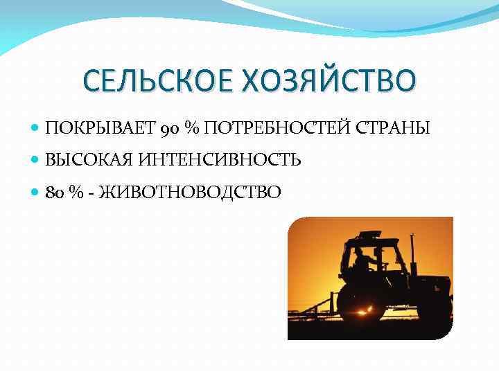 СЕЛЬСКОЕ ХОЗЯЙСТВО ПОКРЫВАЕТ 90 % ПОТРЕБНОСТЕЙ СТРАНЫ ВЫСОКАЯ ИНТЕНСИВНОСТЬ 80 % - ЖИВОТНОВОДСТВО 