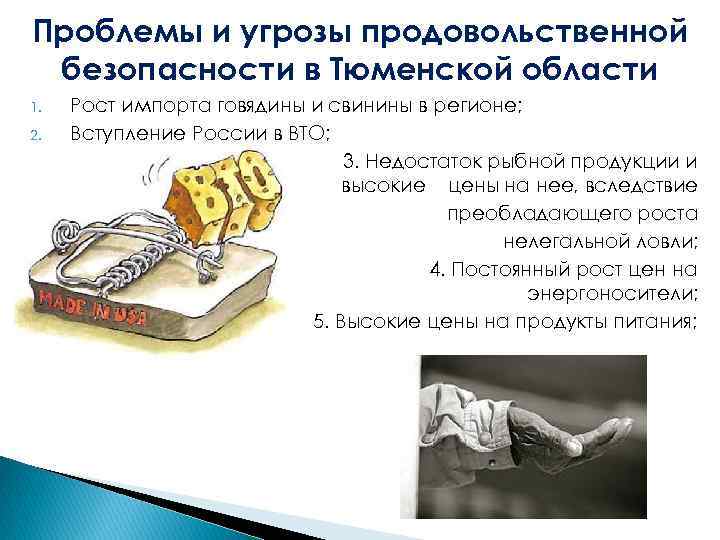 Проблемы и угрозы продовольственной безопасности в Тюменской области 1. 2. Рост импорта говядины и