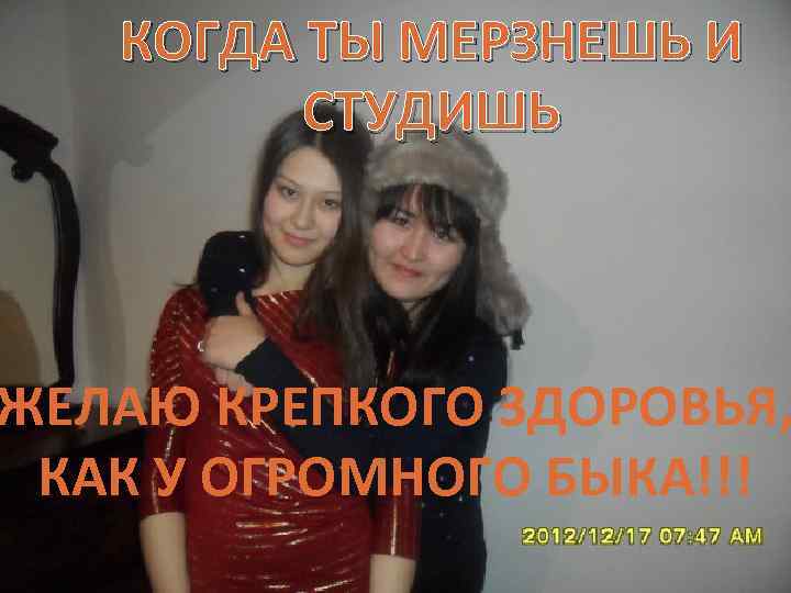 КОГДА ТЫ МЕРЗНЕШЬ И СТУДИШЬ ЖЕЛАЮ КРЕПКОГО ЗДОРОВЬЯ, КАК У ОГРОМНОГО БЫКА!!! 