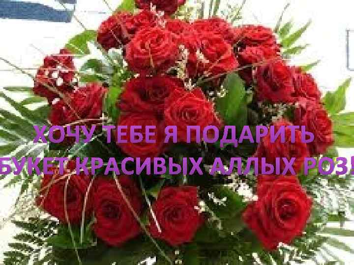 ХОЧУ ТЕБЕ Я ПОДАРИТЬ БУКЕТ КРАСИВЫХ АЛЛЫХ РОЗ! 