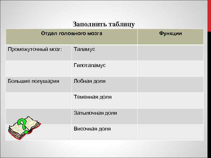 Таблица отдел. Отделы промежуточного мозга таблица. Промежуточный мозг таблица. Промежуточный мозг функции таблица. Функции долей мозга таблица.