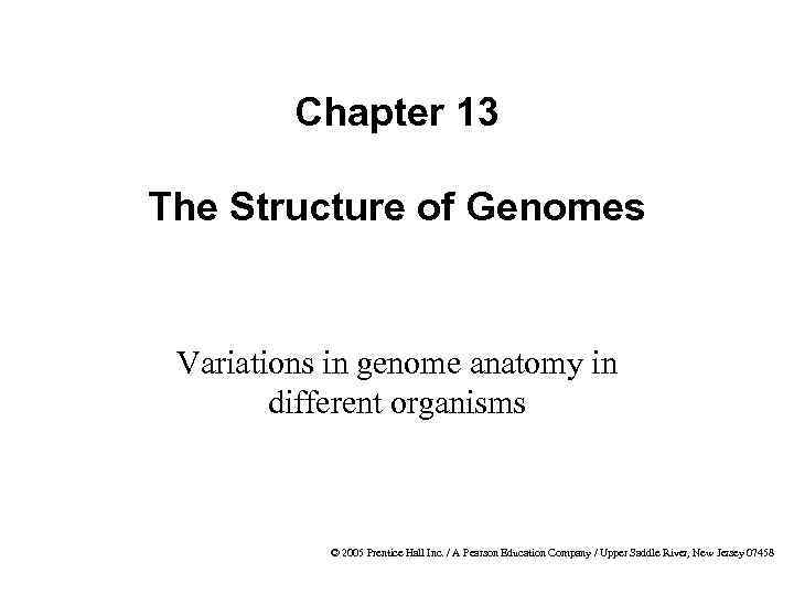 Chapter 13 The Structure of Genomes Variations in genome anatomy in different organisms ©