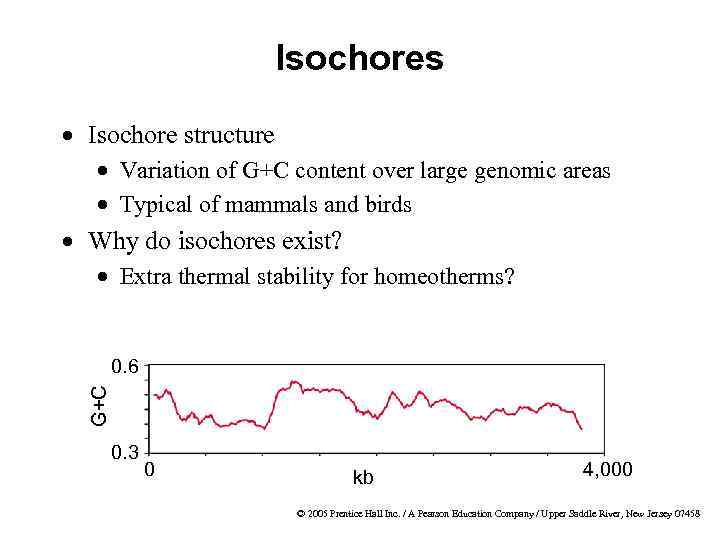 Isochores · Isochore structure · Variation of G+C content over large genomic areas ·