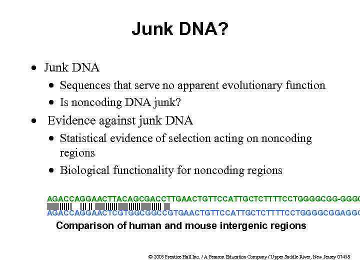 Junk DNA? · Junk DNA · Sequences that serve no apparent evolutionary function ·