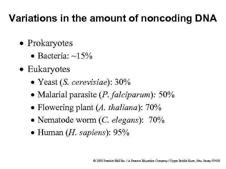 Variations in the amount of noncoding DNA · Prokaryotes · Bacteria: ~15% · Eukaryotes