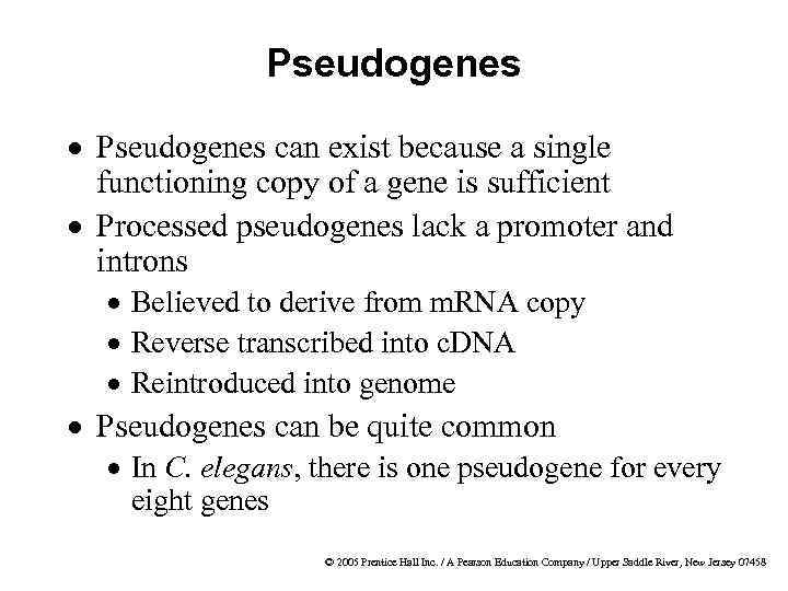 Pseudogenes · Pseudogenes can exist because a single functioning copy of a gene is