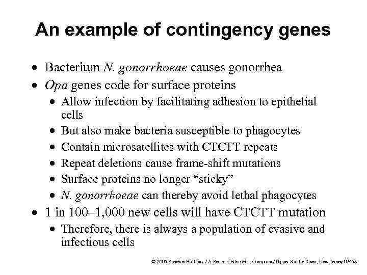 An example of contingency genes · Bacterium N. gonorrhoeae causes gonorrhea · Opa genes
