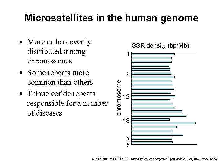 Microsatellites in the human genome SSR density (bp/Mb) 1 6 chromosome · More or