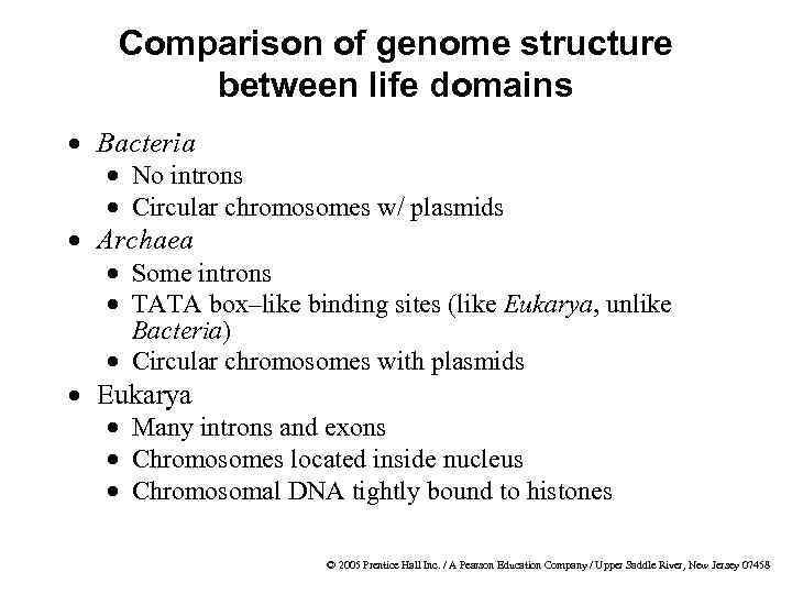 Comparison of genome structure between life domains · Bacteria · No introns · Circular